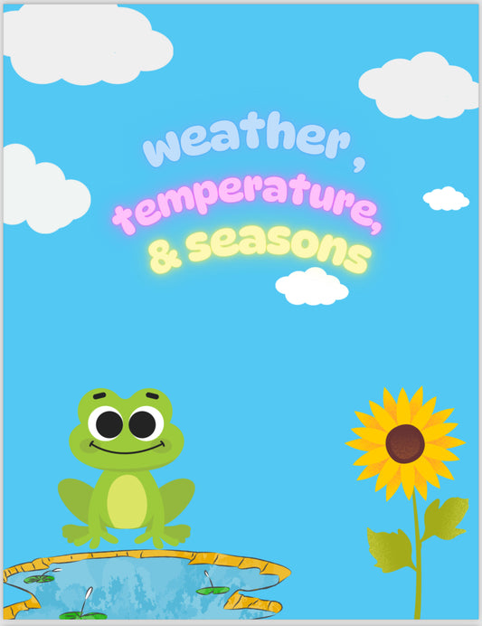 Colorful illustrative weather vocabulary worksheets